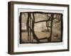 Wisteria Arbor-Theo Westenberger-Framed Photographic Print