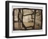 Wisteria Arbor-Theo Westenberger-Framed Photographic Print