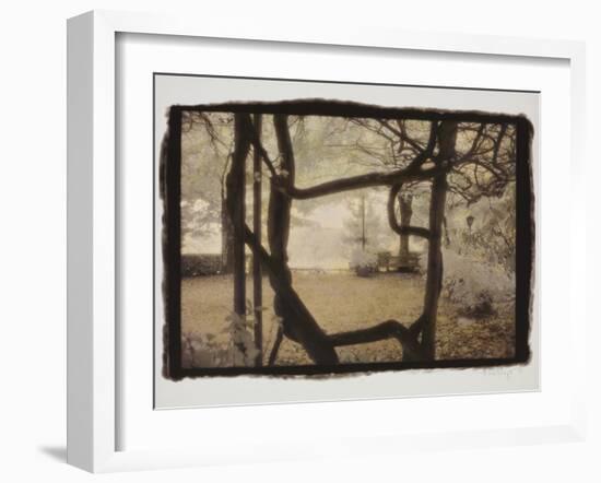 Wisteria Arbor-Theo Westenberger-Framed Photographic Print
