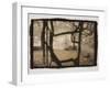 Wisteria Arbor-Theo Westenberger-Framed Photographic Print