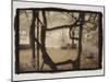 Wisteria Arbor-Theo Westenberger-Mounted Photographic Print