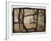Wisteria Arbor-Theo Westenberger-Framed Photographic Print