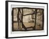 Wisteria Arbor-Theo Westenberger-Framed Photographic Print