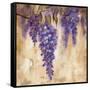 Wisteria Bloom II-null-Framed Stretched Canvas