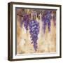 Wisteria Bloom II-null-Framed Art Print