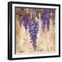 Wisteria Bloom II-null-Framed Art Print