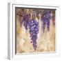 Wisteria Bloom II-null-Framed Art Print