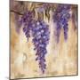 Wisteria Bloom II-null-Mounted Art Print