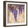 Wisteria Bloom II-null-Framed Art Print