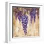 Wisteria Bloom II-null-Framed Art Print