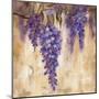 Wisteria Bloom II-null-Mounted Art Print