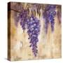 Wisteria Bloom II-null-Stretched Canvas