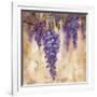 Wisteria Bloom II-null-Framed Art Print