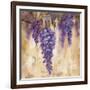 Wisteria Bloom II-null-Framed Art Print