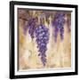 Wisteria Bloom II-null-Framed Art Print