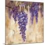 Wisteria Bloom II-null-Mounted Art Print