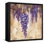 Wisteria Bloom II-null-Framed Stretched Canvas