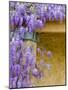 Wisteria Blooming in Spring, Sonoma Valley, California, USA-Julie Eggers-Mounted Photographic Print