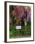 Wisteria Blooms & Hawthorn Tree Blossoms-Steve Terrill-Framed Photographic Print