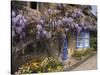 Wisteria-Covered Cottage-Richard Klune-Stretched Canvas