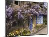 Wisteria-Covered Cottage-Richard Klune-Mounted Photographic Print