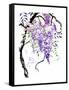 Wisteria Garden I-Nan Rae-Framed Stretched Canvas