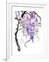 Wisteria Garden I-Nan Rae-Framed Art Print