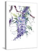 Wisteria Garden II-Nan Rae-Stretched Canvas