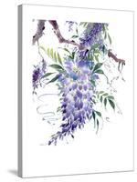 Wisteria Garden II-Nan Rae-Stretched Canvas