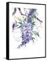 Wisteria Garden II-Nan Rae-Framed Stretched Canvas