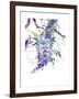 Wisteria Garden II-Nan Rae-Framed Art Print