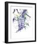 Wisteria Garden II-Nan Rae-Framed Art Print