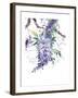 Wisteria Garden II-Nan Rae-Framed Art Print