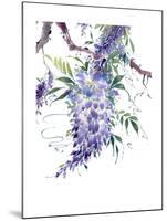 Wisteria Garden II-Nan Rae-Mounted Art Print