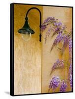 Wisteria Growing at St. Francis Vineyards and Winery, Sonoma Valley, California, USA-Julie Eggers-Framed Stretched Canvas