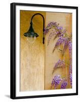 Wisteria Growing at St. Francis Vineyards and Winery, Sonoma Valley, California, USA-Julie Eggers-Framed Premium Photographic Print