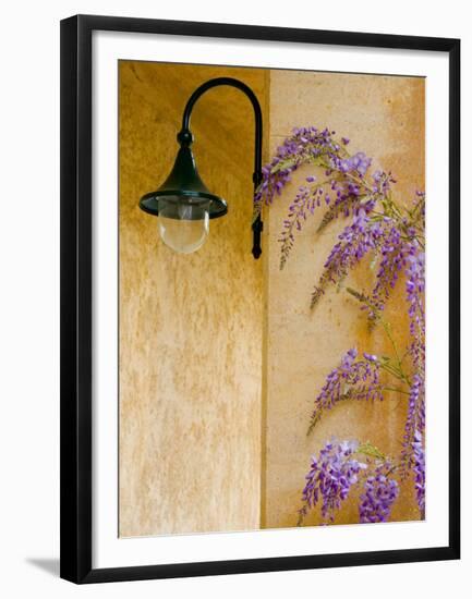 Wisteria Growing at St. Francis Vineyards and Winery, Sonoma Valley, California, USA-Julie Eggers-Framed Premium Photographic Print