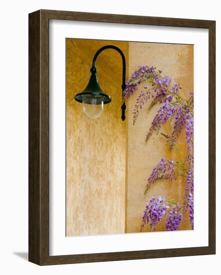 Wisteria Growing at St. Francis Vineyards and Winery, Sonoma Valley, California, USA-Julie Eggers-Framed Photographic Print