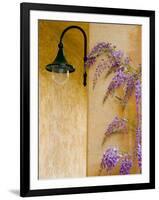 Wisteria Growing at St. Francis Vineyards and Winery, Sonoma Valley, California, USA-Julie Eggers-Framed Photographic Print