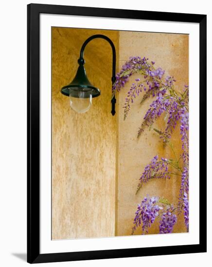 Wisteria Growing at St. Francis Vineyards and Winery, Sonoma Valley, California, USA-Julie Eggers-Framed Photographic Print