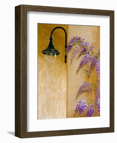 Wisteria Growing at St. Francis Vineyards and Winery, Sonoma Valley, California, USA-Julie Eggers-Framed Photographic Print