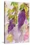 Wisteria I-Beverly Dyer-Stretched Canvas