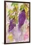 Wisteria I-Beverly Dyer-Framed Art Print