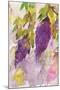 Wisteria I-Beverly Dyer-Mounted Art Print