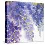 Wisteria II-Eva Watts-Stretched Canvas