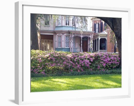 Wisteria on Gazebo Across from Park, Savannah, Georgia, USA-Julie Eggers-Framed Photographic Print