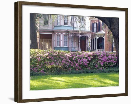 Wisteria on Gazebo Across from Park, Savannah, Georgia, USA-Julie Eggers-Framed Photographic Print