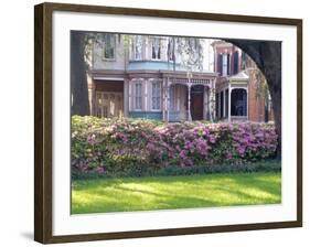 Wisteria on Gazebo Across from Park, Savannah, Georgia, USA-Julie Eggers-Framed Photographic Print