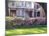 Wisteria on Gazebo Across from Park, Savannah, Georgia, USA-Julie Eggers-Mounted Photographic Print