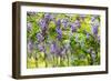 Wisteria Trellis. Great Views of Taiwan-NicholasHan-Framed Photographic Print